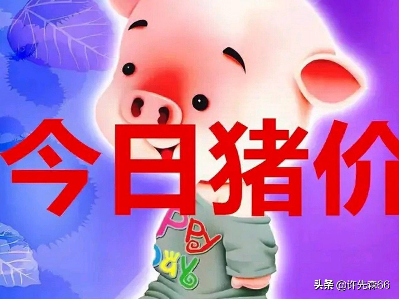 娱乐生活 第219页