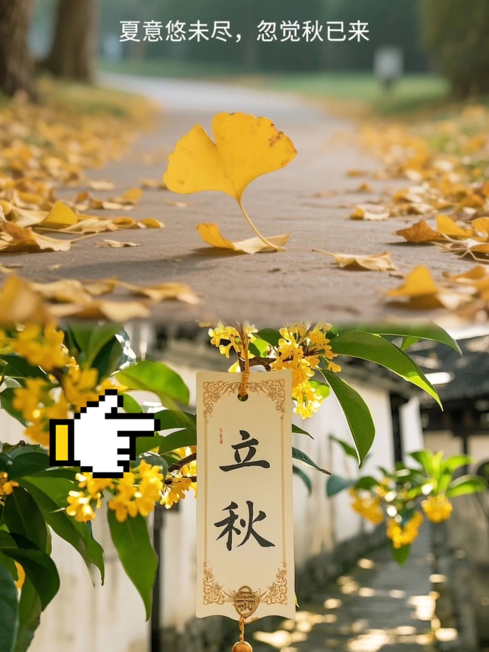 娱乐生活 第214页