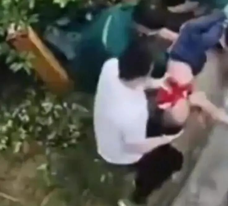 第1250页