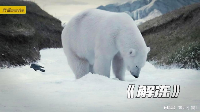 游戏专题 第243页