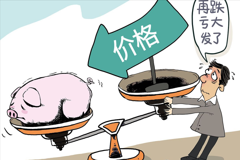 地方新闻 第201页