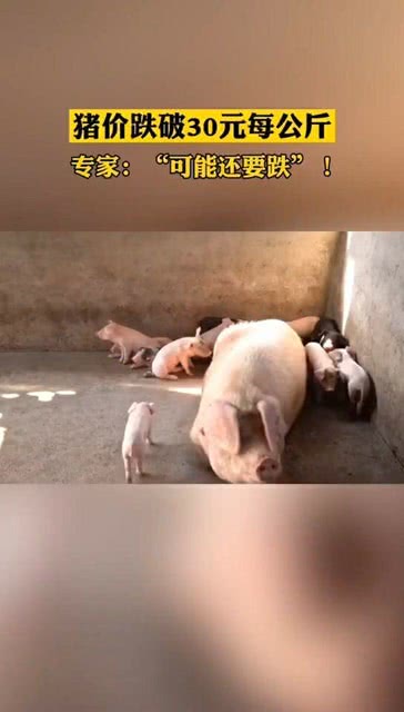 最新资讯 第163页
