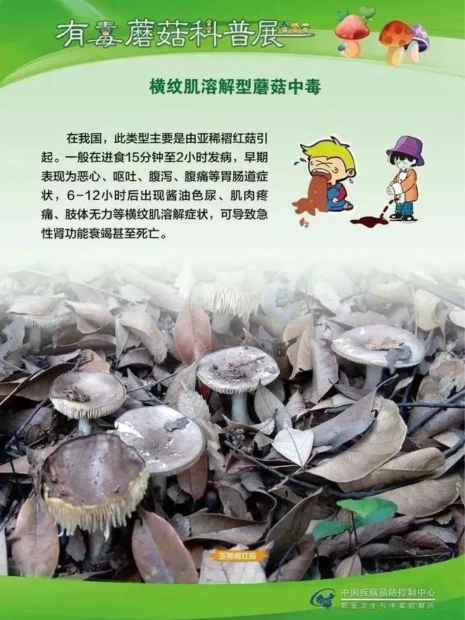 地方新闻 第54页