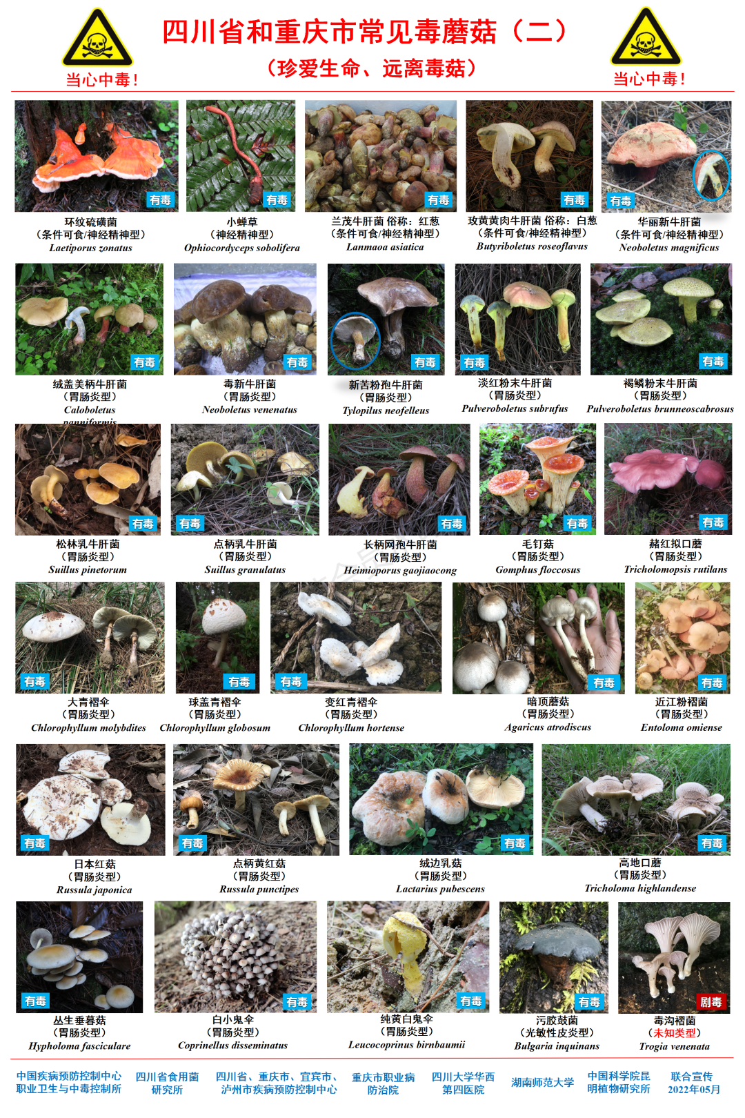 2025版毒菌最新图鉴关于您提到的2025版毒菌最新图鉴，我无法提供确切的信息或数据。毒菌是一种非常危险的生物，其种类和特性可能会随着时间和环境的变化而变化。因此，任何关于毒菌的最新信息或图鉴都需要从权威的、专业的渠道获取。